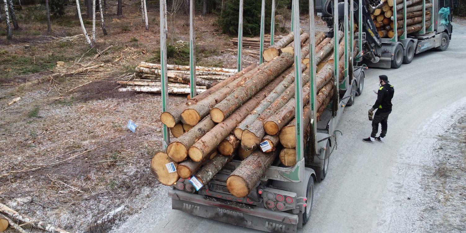 ”För skogsägare och skogsindustrin betyder EU:s ökade makt högre kostnader, mer administration och ökad energiförbrukning.”