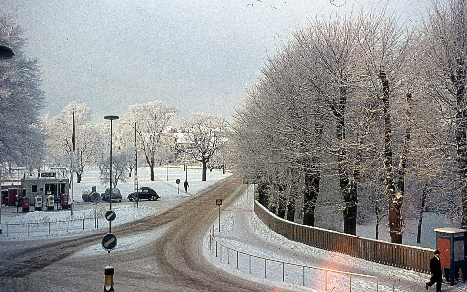 Snön ligger vit i Fridhemsparken.