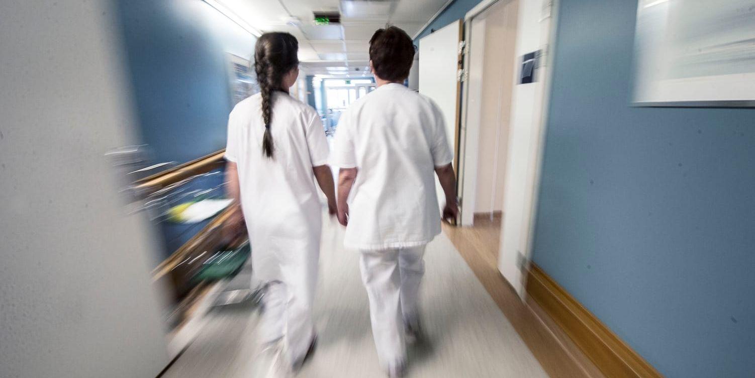 Snart kan hemsjukvården och särskilda boende i Laholm bemannas av skolsköterskor och studenter.