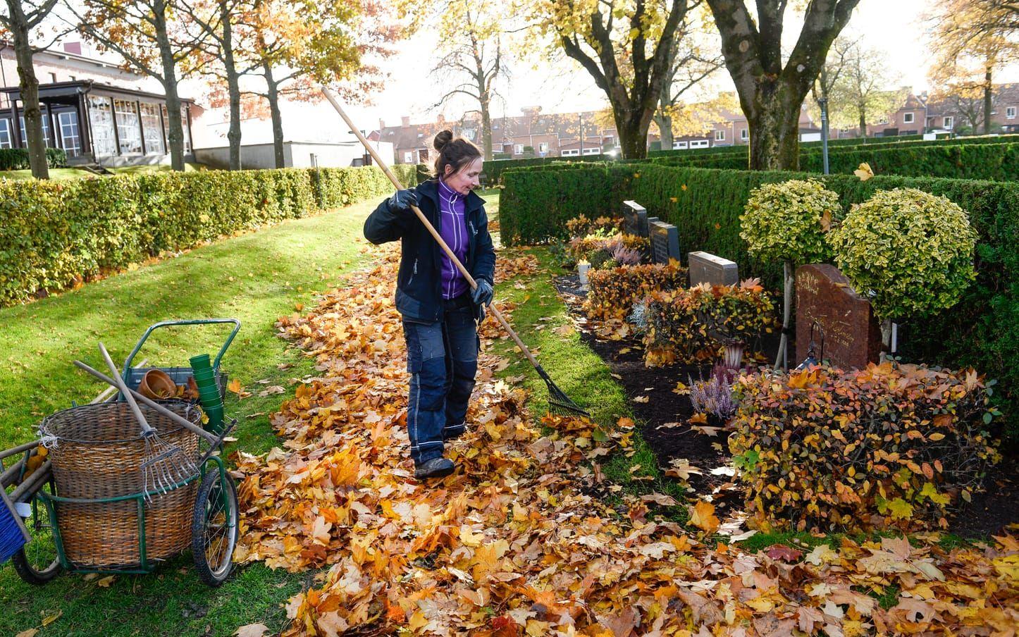 Kämpar mot vädrets makter. För varje löv som gravskötare Pia Nimmå får bort virvlar det ner ett nytt, men målet är att få kyrkogården så ren och fin som den bara kan bli inför allhelgonahelgen. Bild: Jari Välitalo